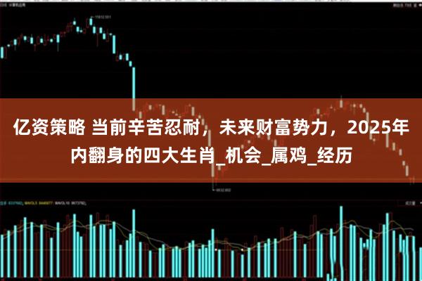 亿资策略 当前辛苦忍耐，未来财富势力，2025年内翻身的四大生肖_机会_属鸡_经历