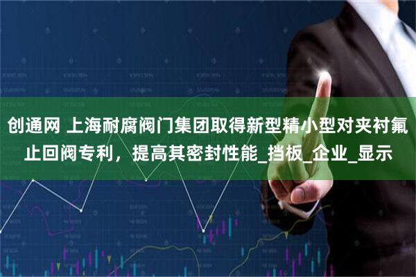 创通网 上海耐腐阀门集团取得新型精小型对夹衬氟止回阀专利，提高其密封性能_挡板_企业_显示