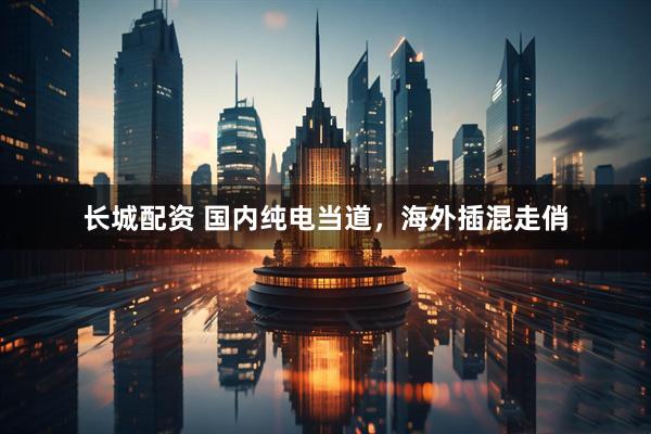 长城配资 国内纯电当道，海外插混走俏